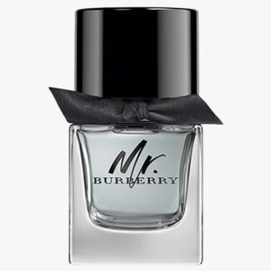 Mr. Burberry EdT (Størrelse: 50 ML)