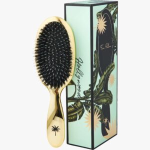 Hair Brush Medium Hollywood