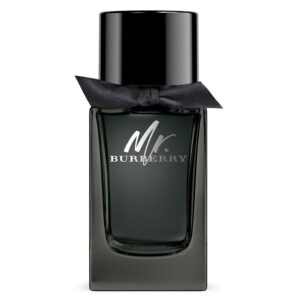 Burberry Mr. Burberry Eau De Parfum 100ml