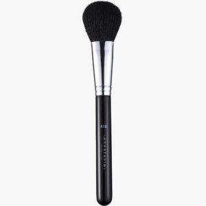 A19 Pro Brush - Blush Brush