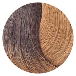 Showpony Halo Box Set 3in1 4GM 7G Ombre Warm Mocha Melt 50cm