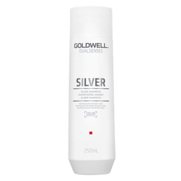 Goldwell Dualsenses Silver Shampoo 250ml