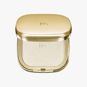 Fig Skin Perfector Shine Control Blurring Powder 6