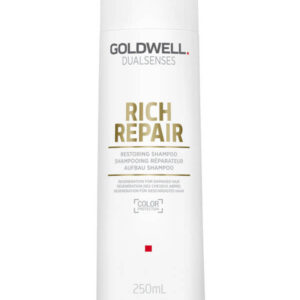 Goldwell Dualsenses Rich Repair Restoring Shampoo (250ml)