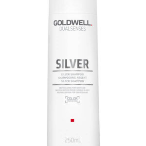 Goldwell Dualsenses Silver Shampoo (250ml)