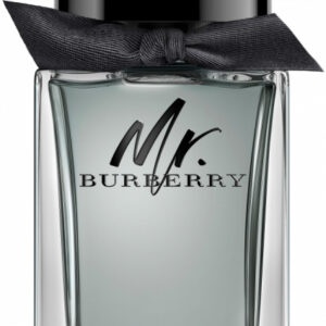 Burberry Mr Burberry EdT (100ml)