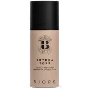 Björk Skydda Torr Mini (100 ml)