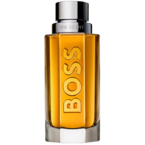 The Scent EdT (100 ml)