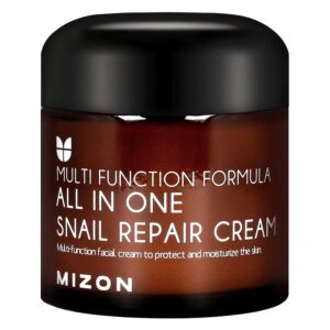 Mizon All In One Snail Repair Cream 75ml