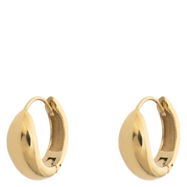 DARK Fat Hoop Small Gold Earrings