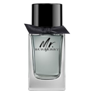 Burberry Mr. Burberry Eau De Toilette 100ml