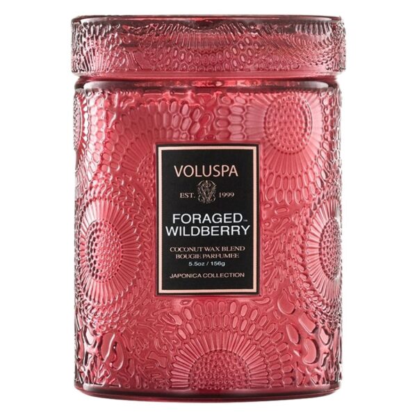 Voluspa Japonica Collection Small Jar Candle Foraged Wildberry 15