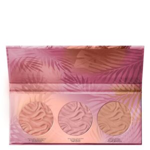 Physicians Formula Butter Glow Face Palette Sunrise 3x3