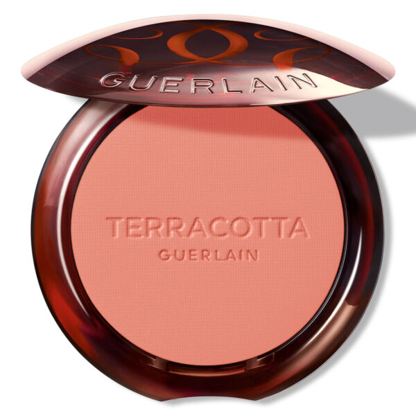 Guerlain Terracotta Blush 02 5g