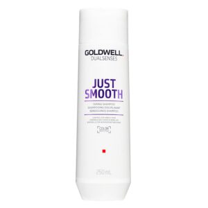 Goldwell Dualsenses Just Smooth Shampoo 250ml