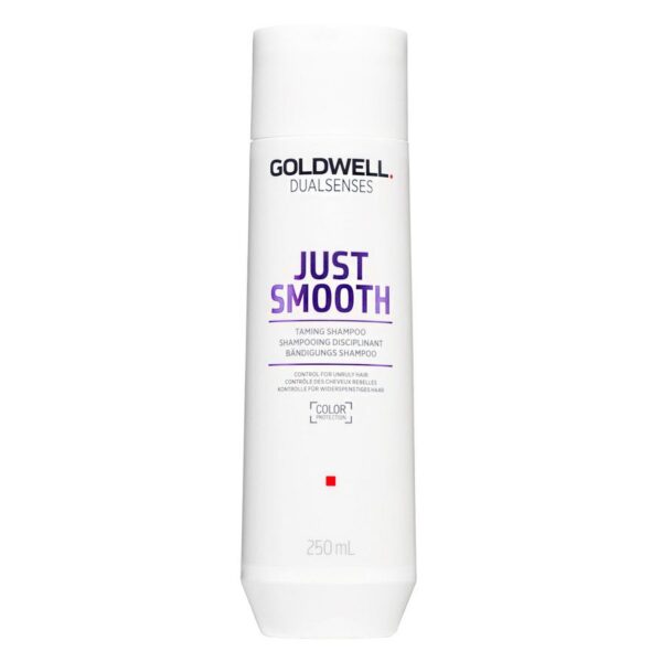 Goldwell Dualsenses Just Smooth Shampoo 250ml